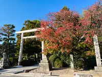 木嶋坐天照御魂神社（蚕ノ社）の写真・動画_image_563307