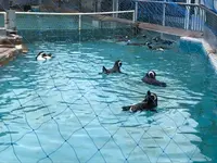 のとじま水族館　の写真・動画_image_563325