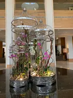 Hyatt Regency Guamの写真・動画_image_563426