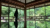 青林寺の写真・動画_image_563692