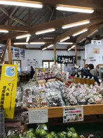 月夜野はーべすとの写真・動画_image_563759