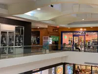てんてこ舞の写真・動画_image_564098