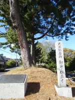御油の松並木の写真・動画_image_564205