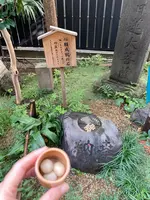 於岩稲荷陽運寺の写真・動画_image_564333