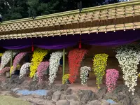 新宿御苑の写真・動画_image_564348