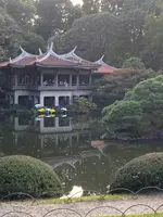 新宿御苑の写真・動画_image_564350
