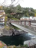 郡上八幡旧庁舎記念館の写真・動画_image_564424