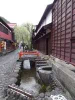 やなか水のこみちの写真・動画_image_564447