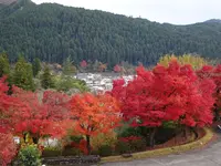 郡上八幡ホテル積翠園の写真・動画_image_564461