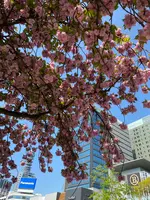 久屋大通公園（Hisaya-odori Park）の写真・動画_image_564468
