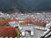 郡上八幡城の写真・動画_image_564748