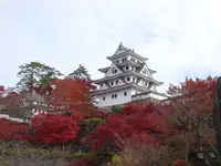 郡上八幡城の写真・動画_image_564749