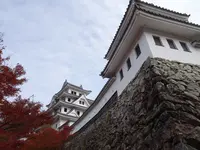 郡上八幡城の写真・動画_image_564753