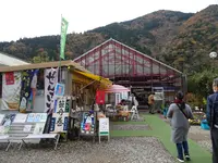 モネの池（名もなき池）の写真・動画_image_564764
