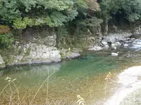 モネの池（名もなき池）の写真・動画_image_564768
