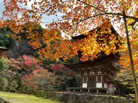 石山寺の写真・動画_image_564922