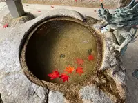石山寺の写真・動画_image_564924