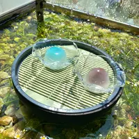 丁子屋の写真・動画_image_564996