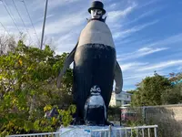 怪しい少年少女博物館の写真・動画_image_565410