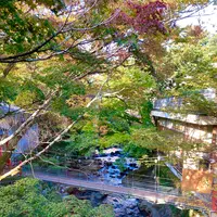 湯回廊 菊屋の写真・動画_image_565599