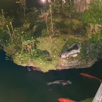 湯回廊 菊屋の写真・動画_image_565611