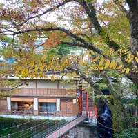 湯回廊 菊屋の写真・動画_image_565619