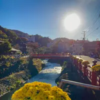 渡月橋の写真・動画_image_565620