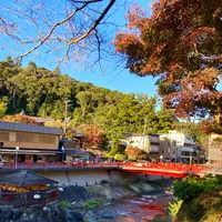 独鈷の湯の写真・動画_image_565625