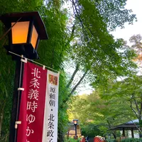 竹林の小径の写真・動画_image_565632