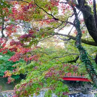 竹林の小径の写真・動画_image_565637