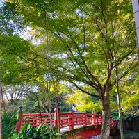 竹林の小径の写真・動画_image_565640