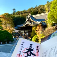修禅寺の写真・動画_image_565643