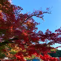 修禅寺の写真・動画_image_565645