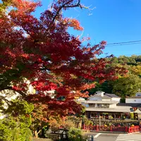 修禅寺の写真・動画_image_565647