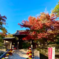 修禅寺の写真・動画_image_565648