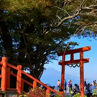 伊豆の国パノラマパークの写真・動画_image_565662