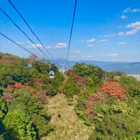伊豆の国パノラマパークの写真・動画_image_565666