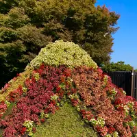 伊豆の国パノラマパークの写真・動画_image_565668