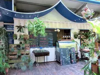 Bald Pine Forestの写真・動画_image_565923