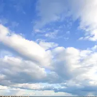 虎杖浜カフェの写真・動画_image_566060
