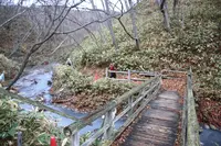 大湯沼川天然足湯の写真・動画_image_566074