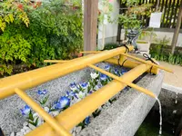 清明神社の写真・動画_image_566187