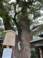 清明神社の写真・動画_image_566194