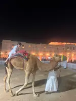 Souq Waqifの写真・動画_image_566343
