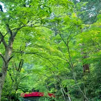 小國神社の写真・動画_image_566456