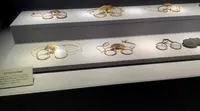 めがねミュージアムの写真・動画_image_566610