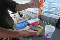 安室島の写真・動画_image_566631