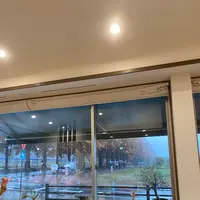 並木カフェ メタセコイアの写真・動画_image_566640