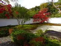 有楽苑の写真・動画_image_566824