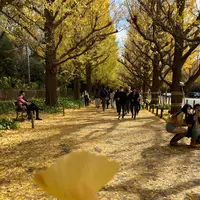 明治神宮外苑いちょう並木の写真・動画_image_566845